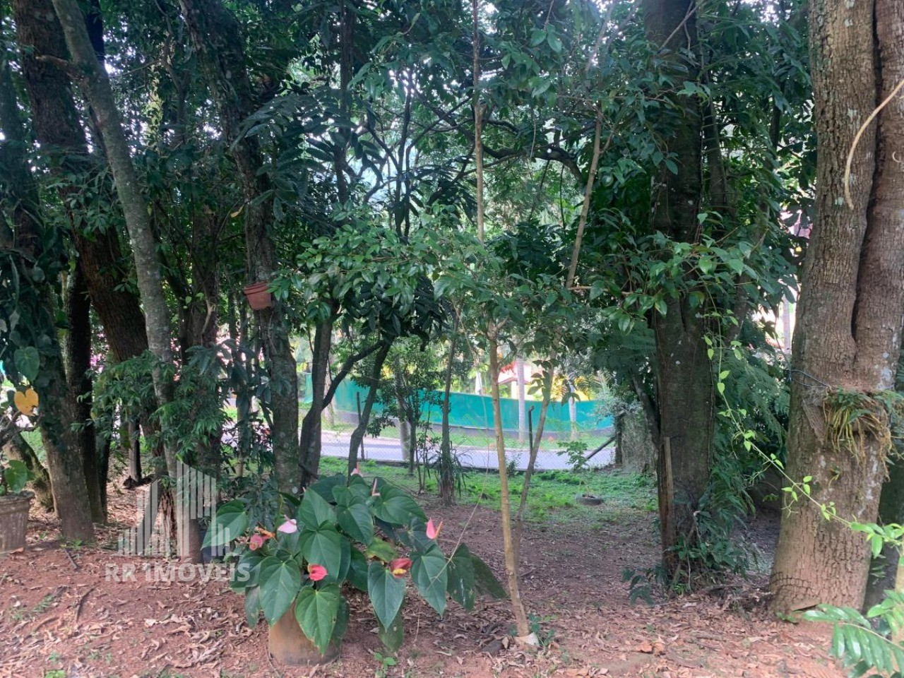 Casa, 3 quartos, 330 m² - Foto 7