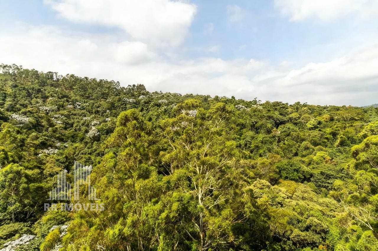 Apartamento, 4 quartos, 367 m² - Foto 5