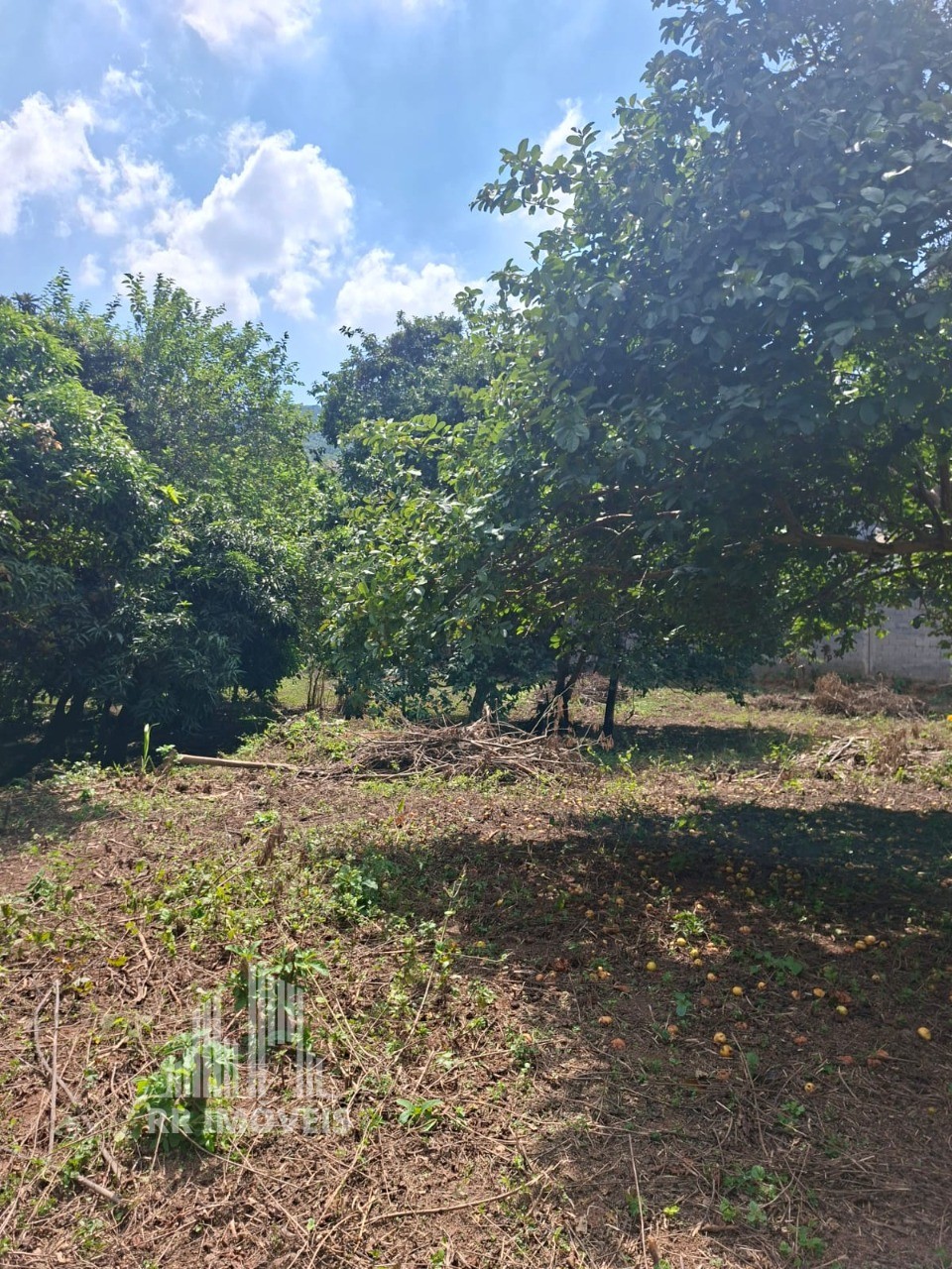 Terreno, 1418 m² - Foto 9