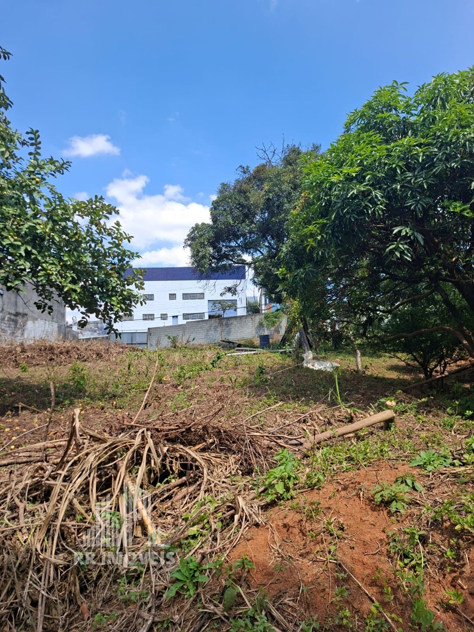 Terreno, 1418 m² - Foto 6