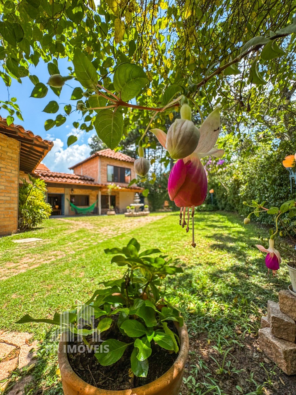 Casa, 3 quartos, 342 m² - Foto 8