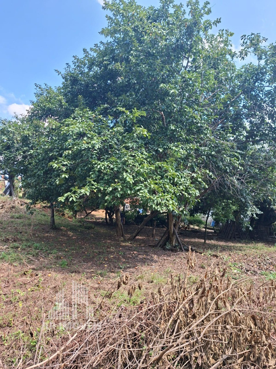 Terreno, 1418 m² - Foto 8