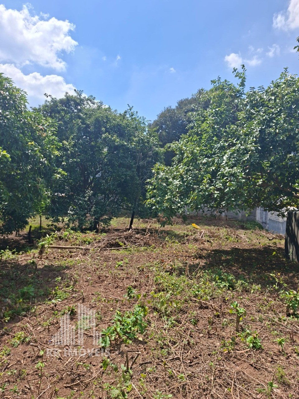 Terreno, 1418 m² - Foto 5