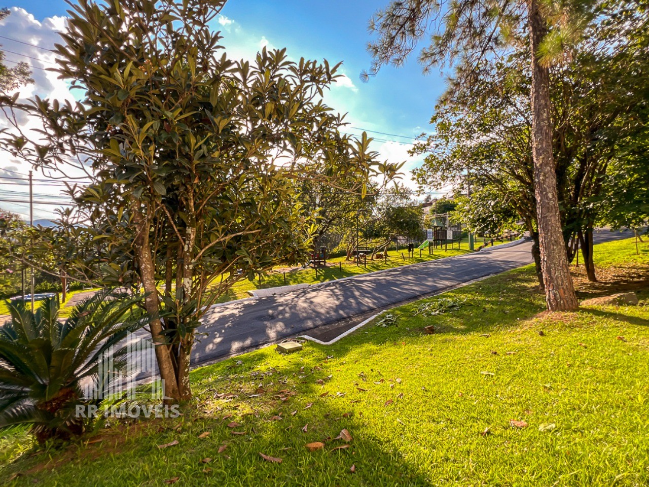 Casa, 4 quartos, 339 m² - Foto 50