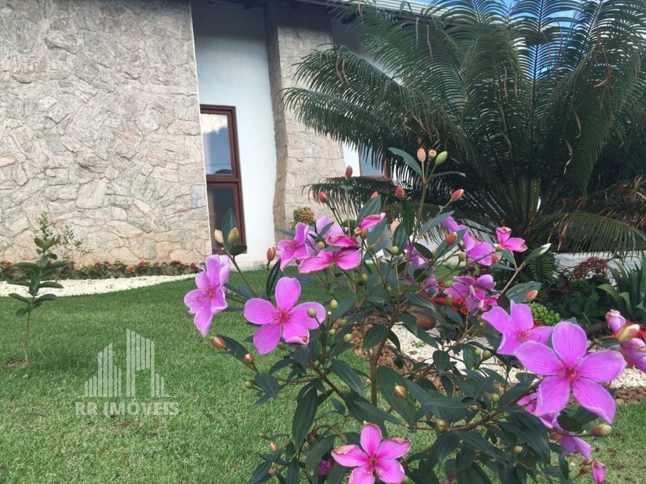 Casa, 5 quartos, 240 m² - Foto 4