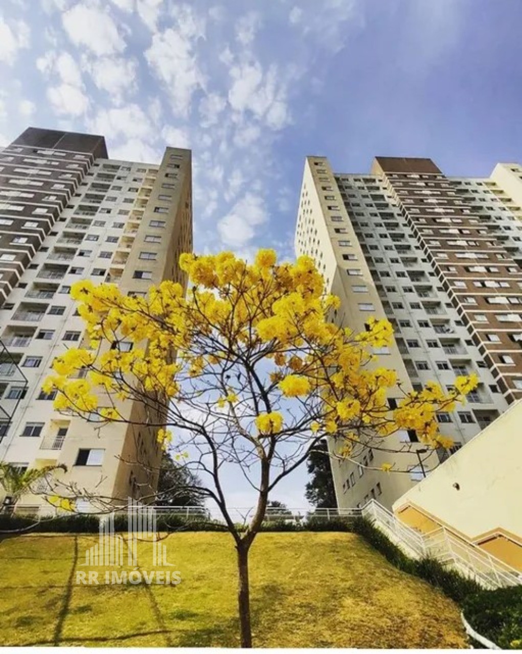 Apartamento, 2 quartos, 54 m² - Foto 16