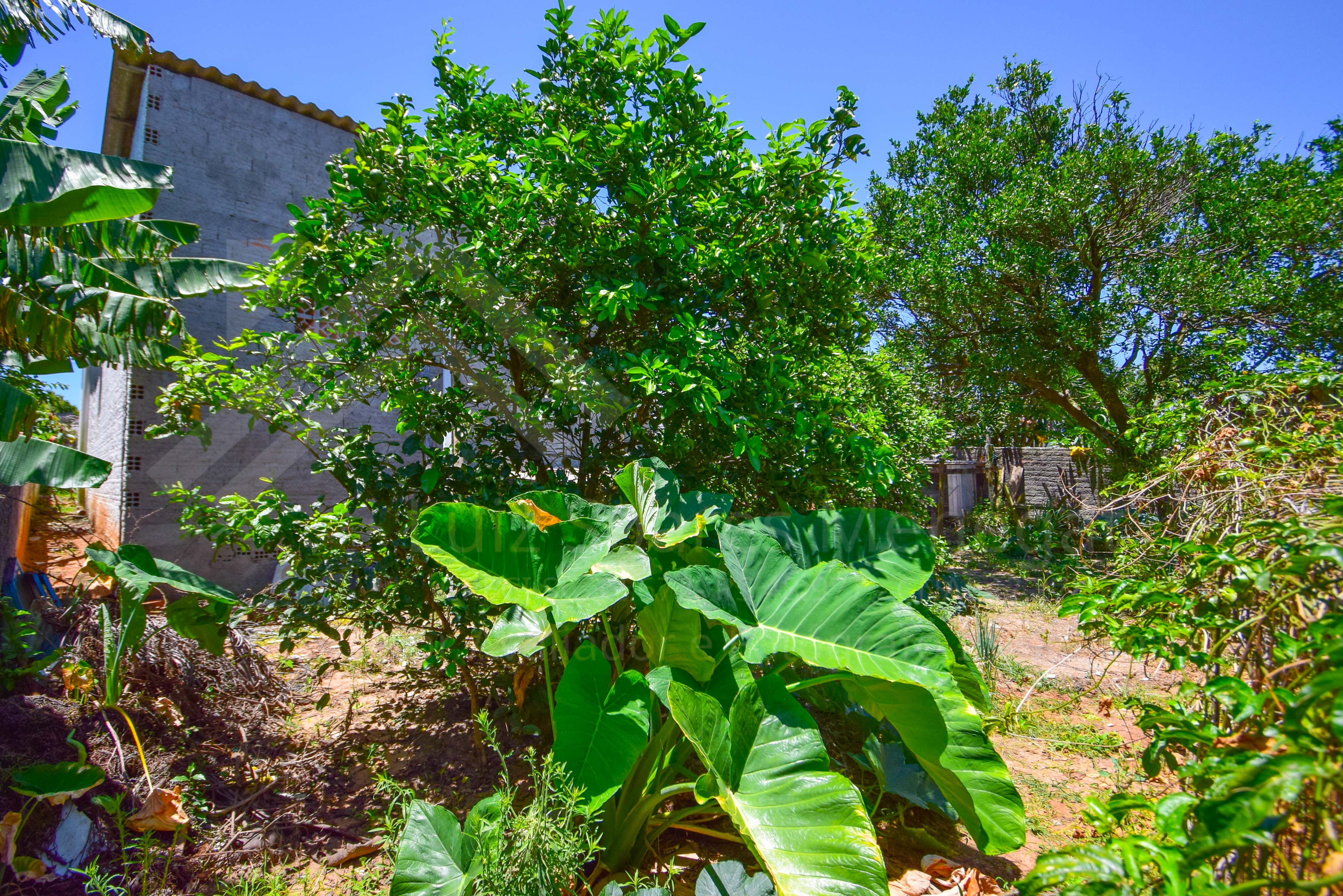 Casa à venda com 2 quartos, 110m² - Foto 19