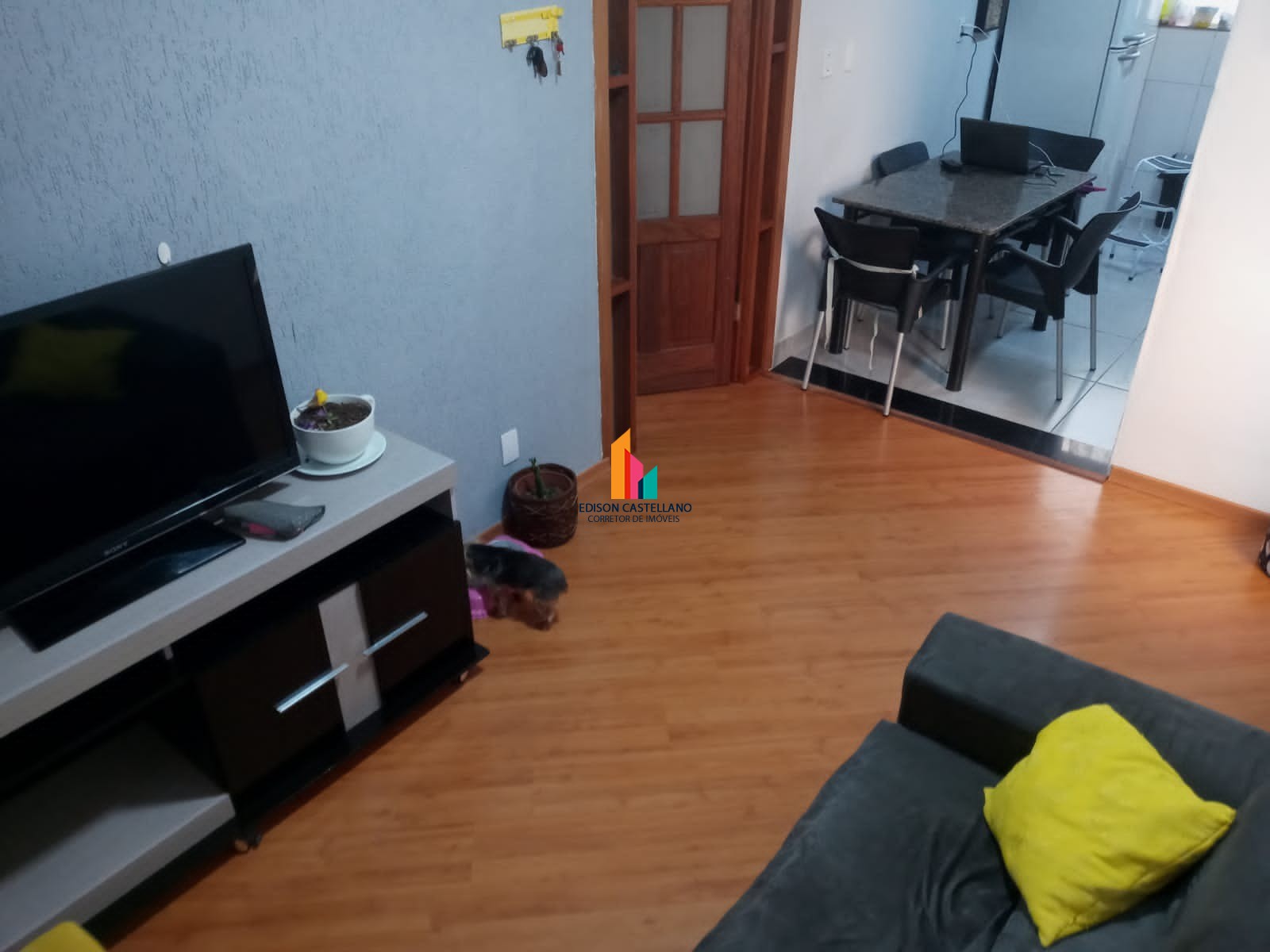 Foto Destaque