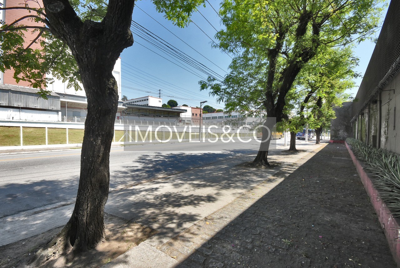 Depósito-Galpão-Armazém para alugar - Foto 5