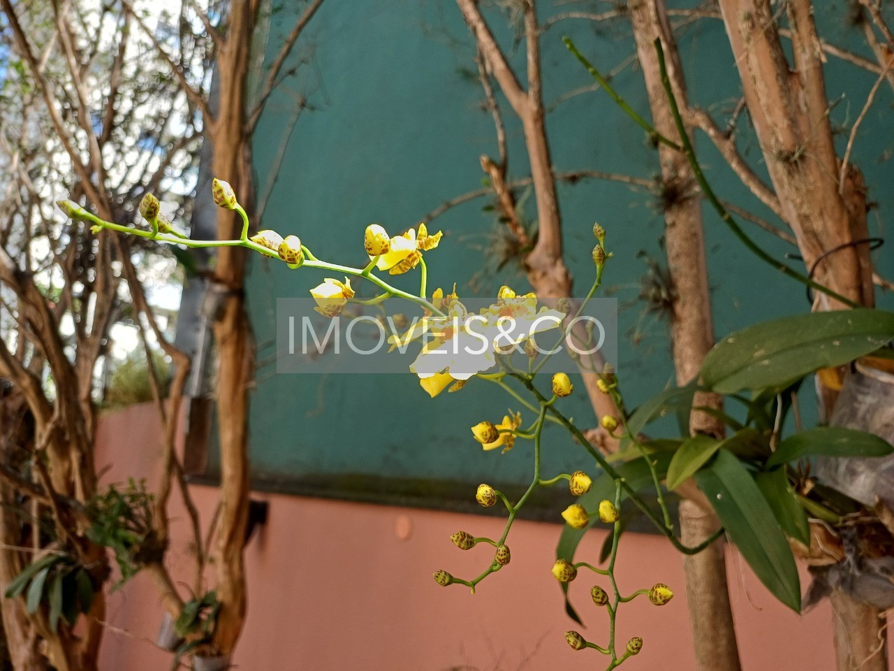 Apartamento, 3 quartos, 210 m² - Foto 40