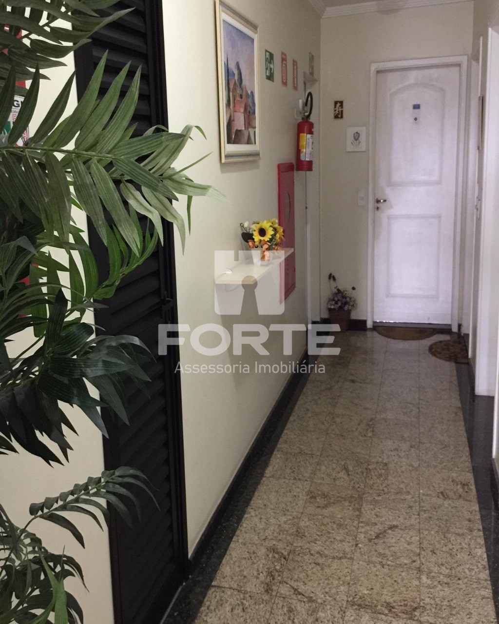 Apartamento à venda com 3 quartos, 75m² - Foto 15