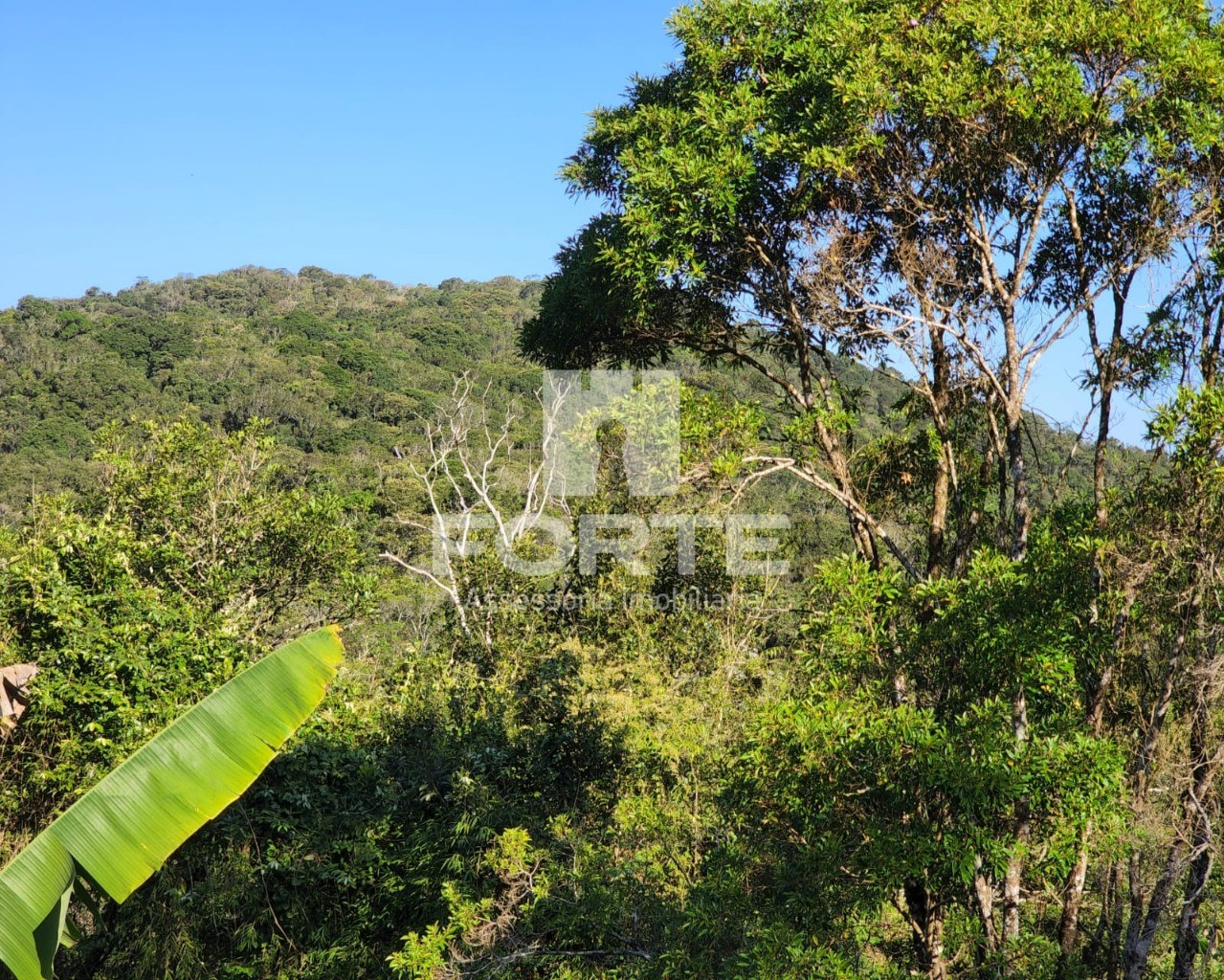 Chácara à venda com 3 quartos, 13000m² - Foto 34