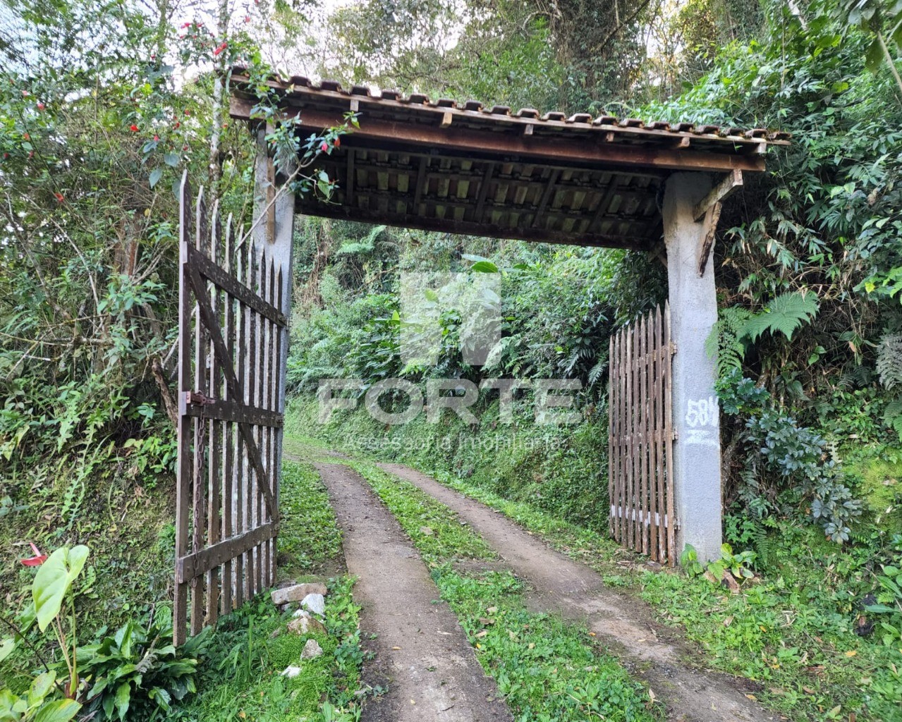 Chácara à venda com 3 quartos, 13000m² - Foto 4