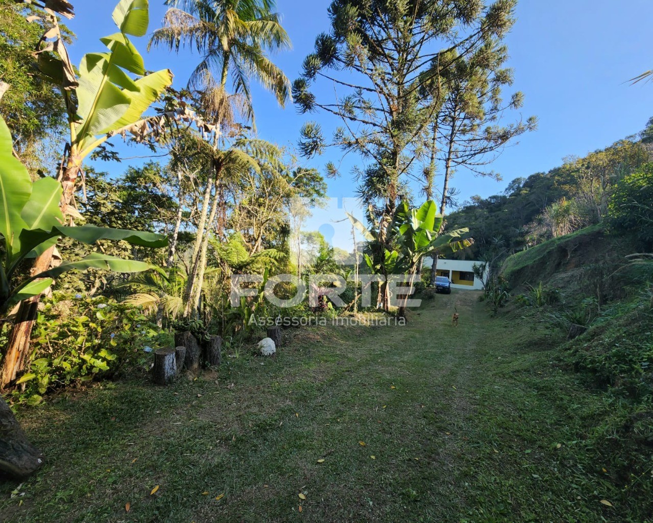 Chácara à venda com 3 quartos, 13000m² - Foto 9