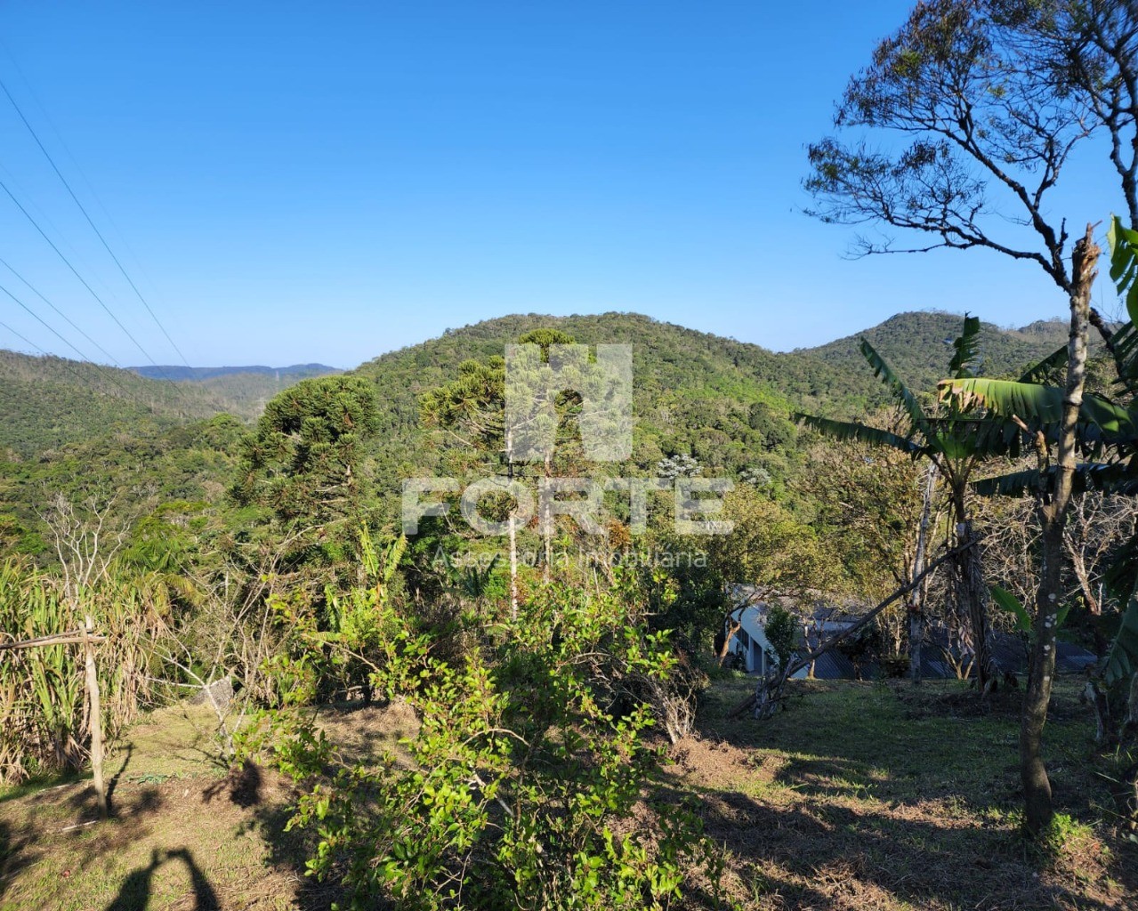 Chácara à venda com 3 quartos, 13000m² - Foto 21