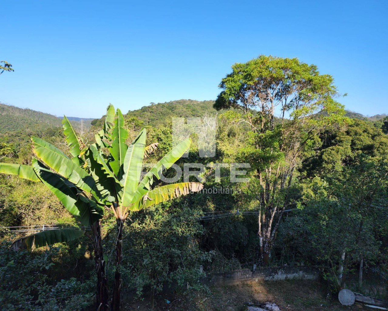 Chácara à venda com 3 quartos, 13000m² - Foto 36