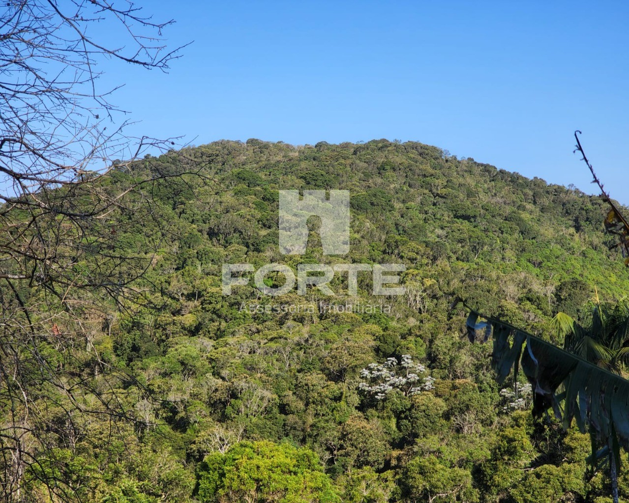 Chácara à venda com 3 quartos, 13000m² - Foto 22