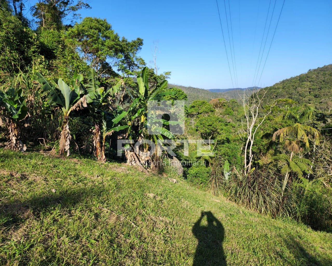 Chácara à venda com 3 quartos, 13000m² - Foto 13