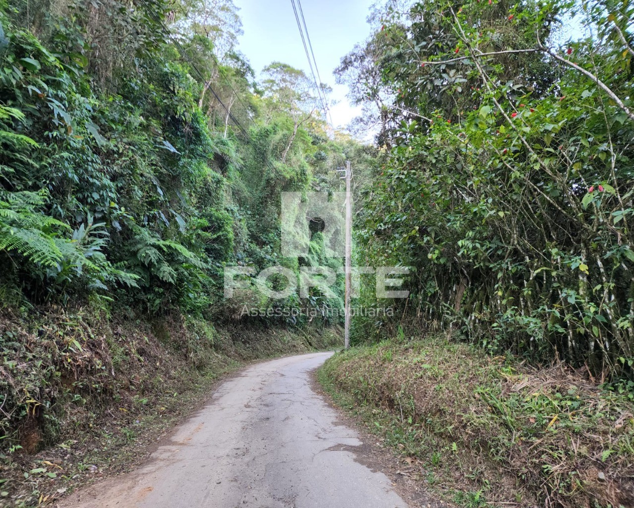 Chácara à venda com 3 quartos, 13000m² - Foto 3