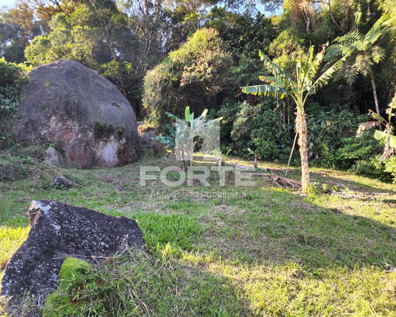 Chácara à venda com 3 quartos, 13000m² - Foto 15