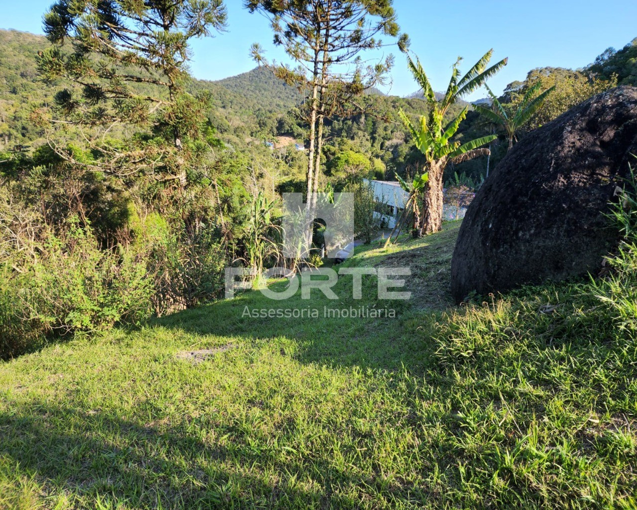 Chácara à venda com 3 quartos, 13000m² - Foto 14