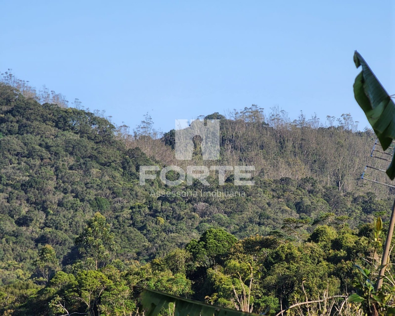 Chácara à venda com 3 quartos, 13000m² - Foto 19