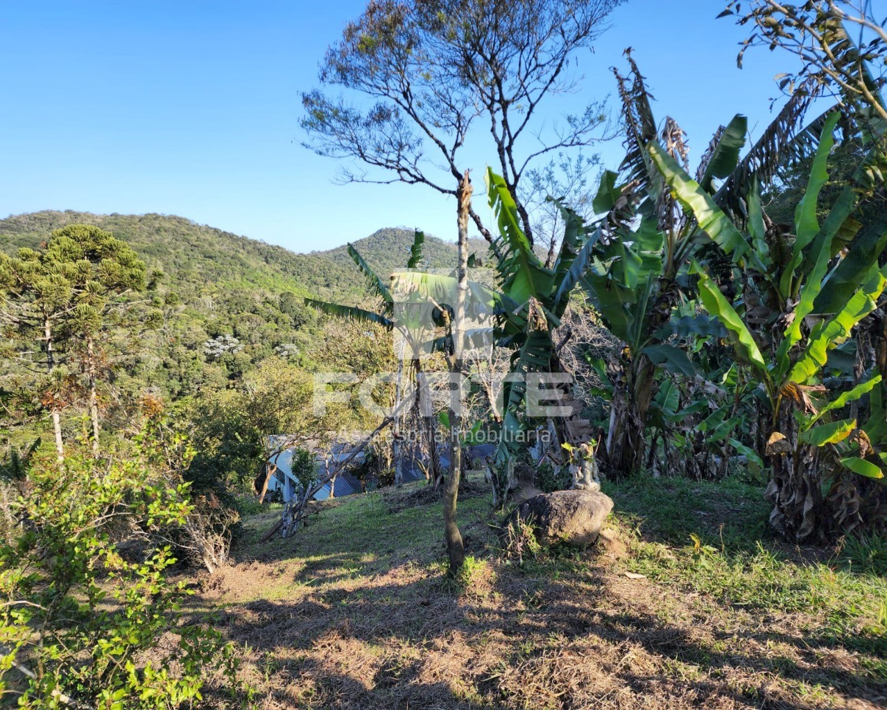 Chácara à venda com 3 quartos, 13000m² - Foto 20