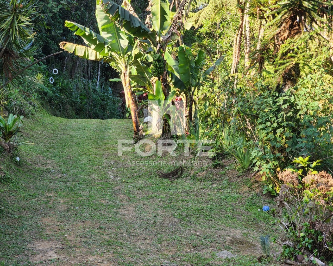 Chácara à venda com 3 quartos, 13000m² - Foto 10