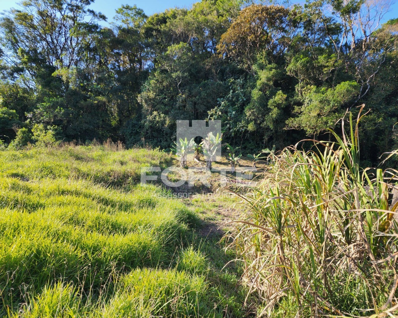 Chácara à venda com 3 quartos, 13000m² - Foto 17