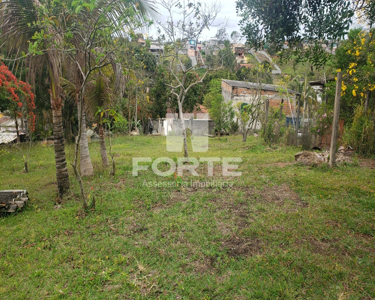 Terreno à venda, 800m² - Foto 4