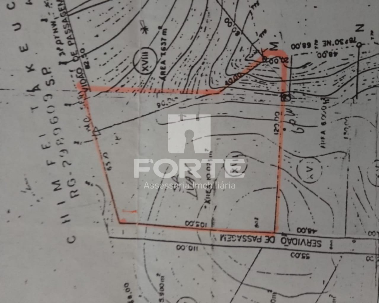 Chácara à venda com 3 quartos, 10000m² - Foto 4