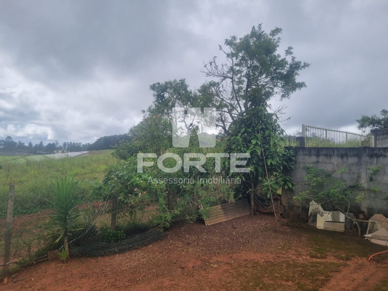 Chácara, 3 quartos, 1000 m² - Foto 4