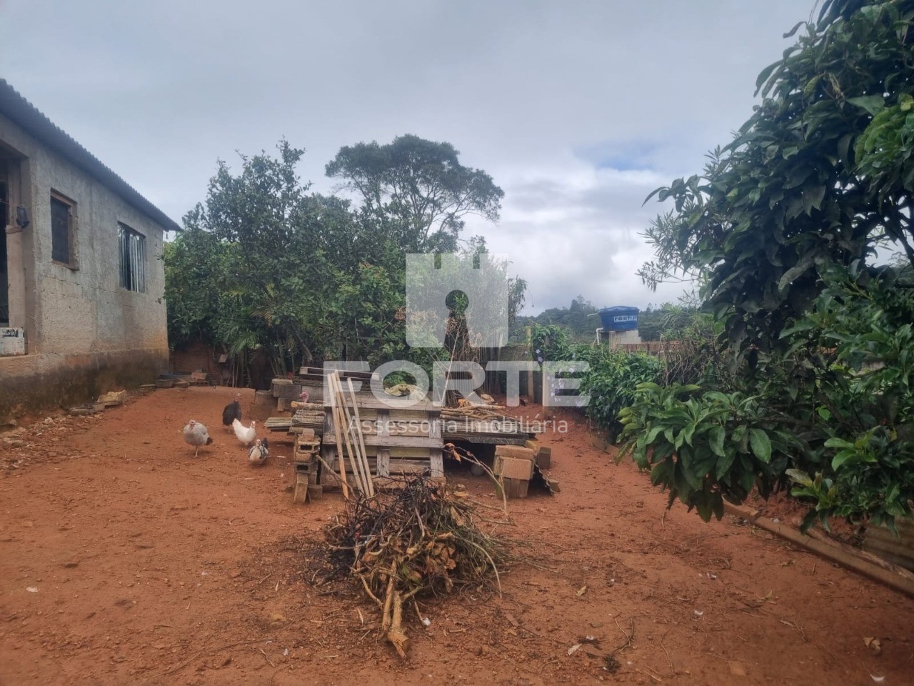 Chácara, 3 quartos, 1000 m² - Foto 3
