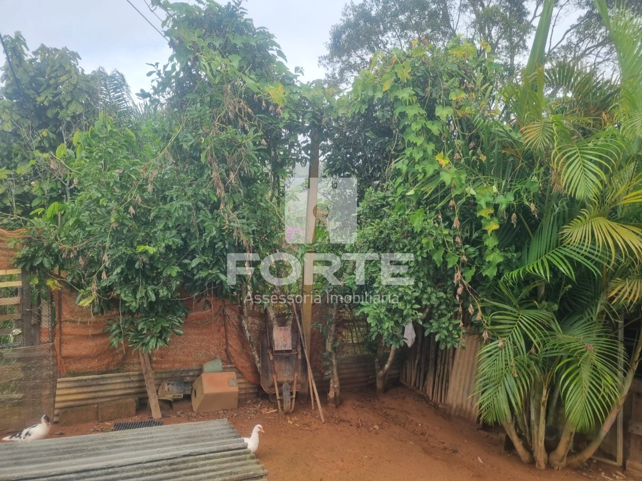 Chácara, 3 quartos, 1000 m² - Foto 20