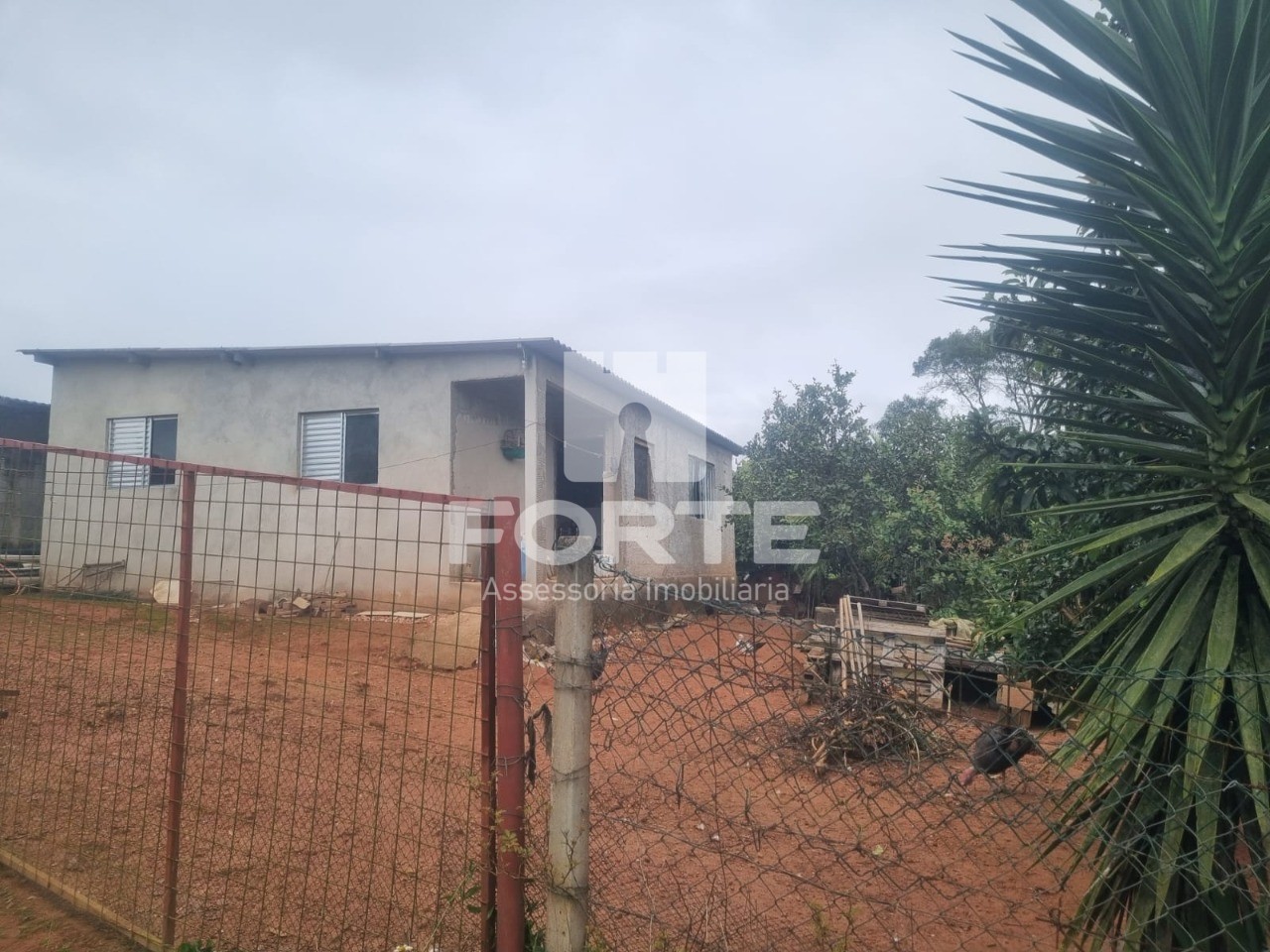 Chácara, 3 quartos, 1000 m² - Foto 2