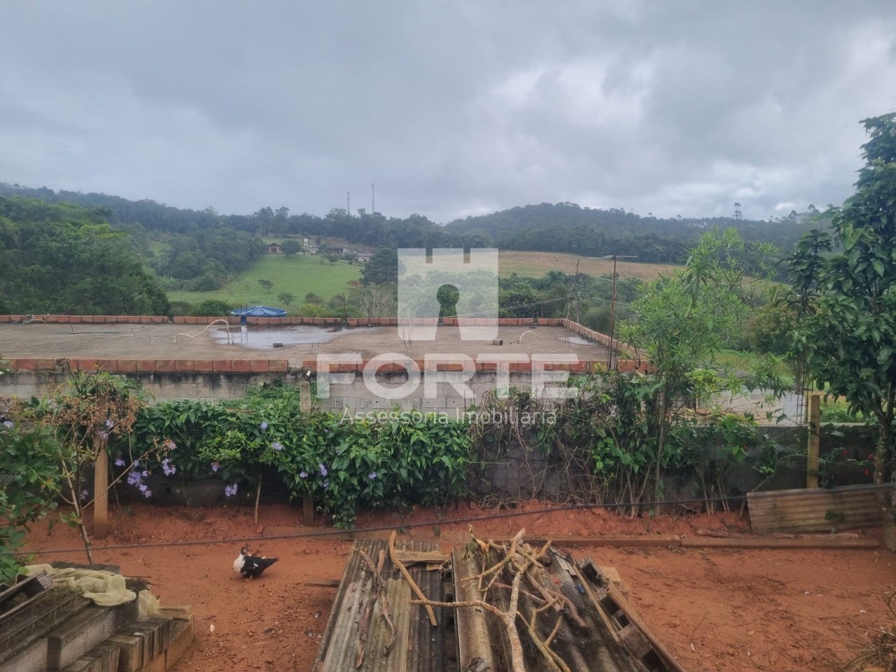 Chácara, 3 quartos, 1000 m² - Foto 6