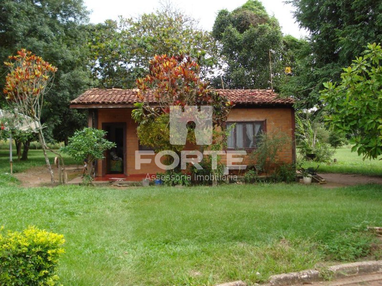 Fazenda à venda com 3 quartos, 200m² - Foto 14