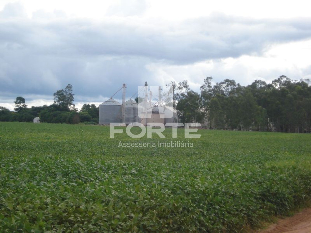 Fazenda à venda com 3 quartos, 200m² - Foto 8