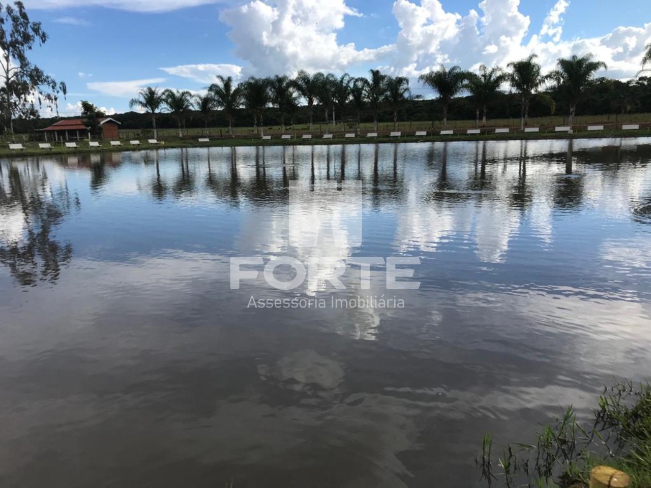 Fazenda à venda com 3 quartos, 50m² - Foto 2