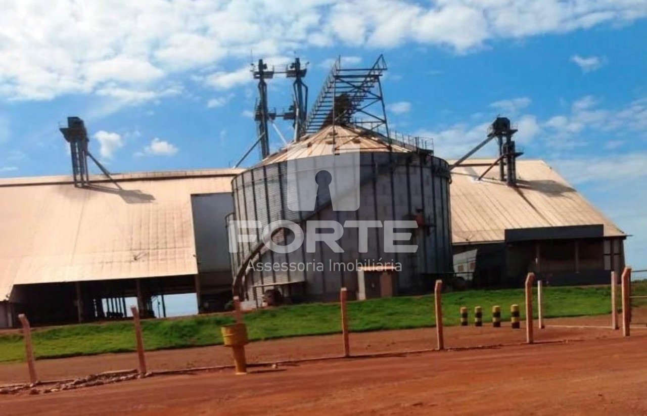 Fazenda à venda com 3 quartos, 200m² - Foto 6