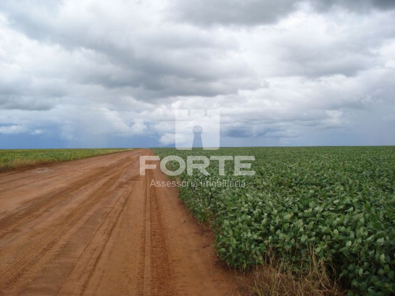 Fazenda à venda com 3 quartos, 200m² - Foto 22