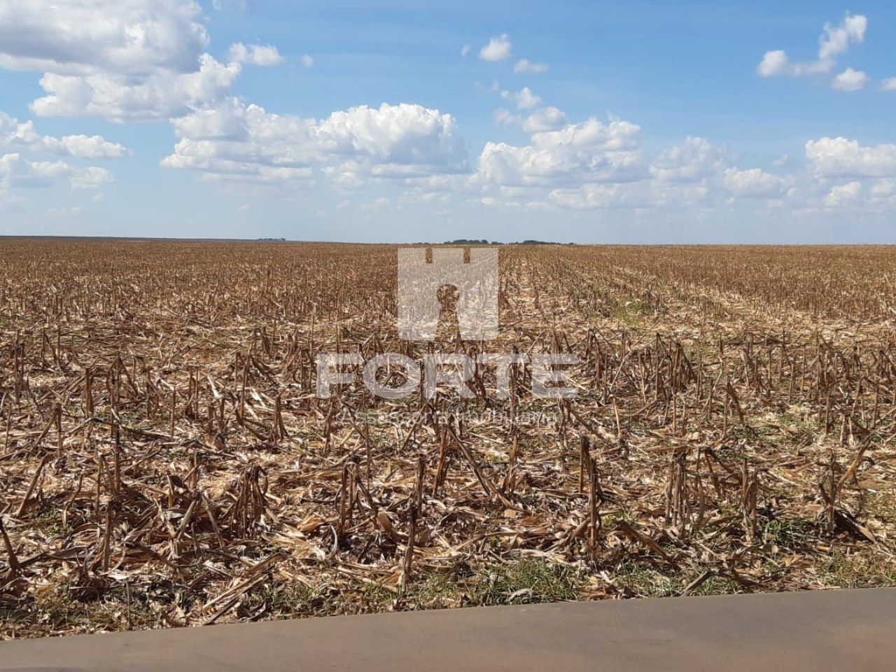 Fazenda à venda com 3 quartos, 200m² - Foto 25