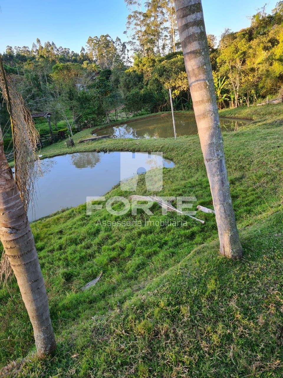 Chácara para alugar com 5 quartos, 3000m² - Foto 22