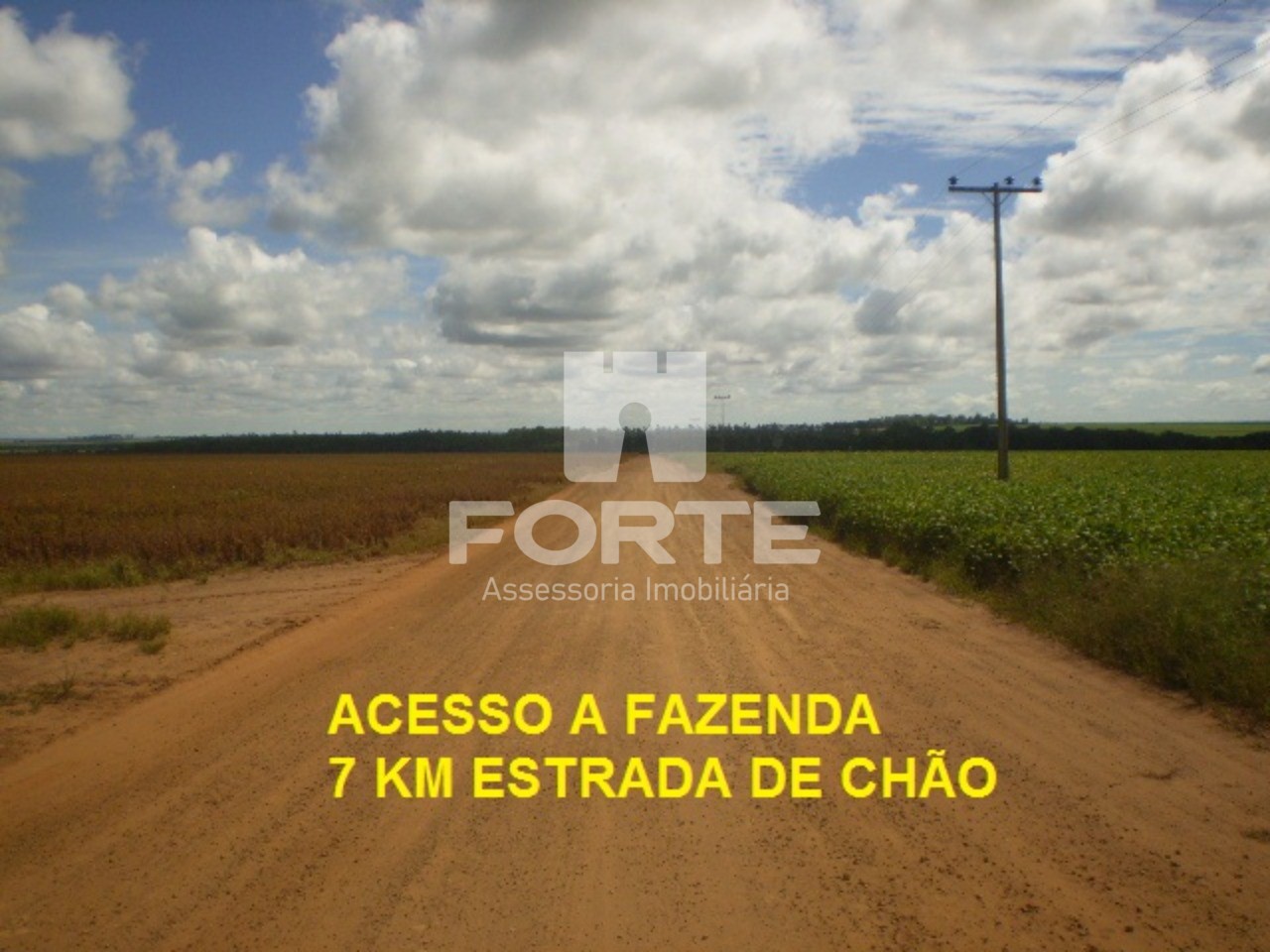 Fazenda à venda com 3 quartos, 200m² - Foto 27