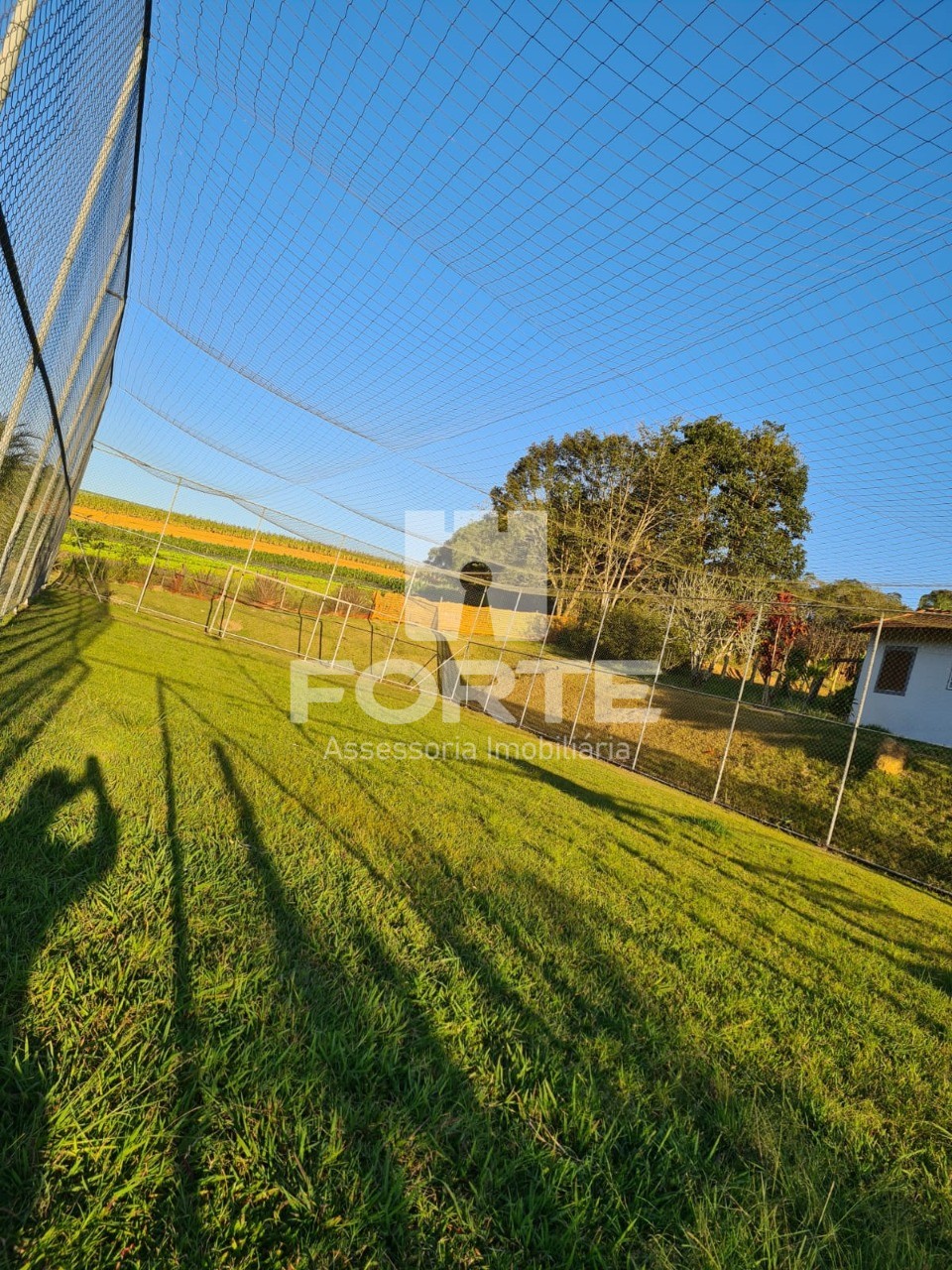 Chácara para alugar com 5 quartos, 3000m² - Foto 6