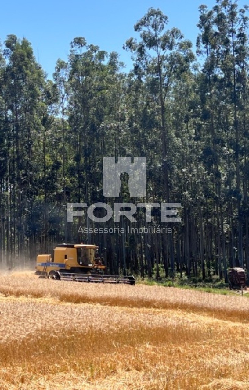 Fazenda à venda com 3 quartos, 1722m² - Foto 14