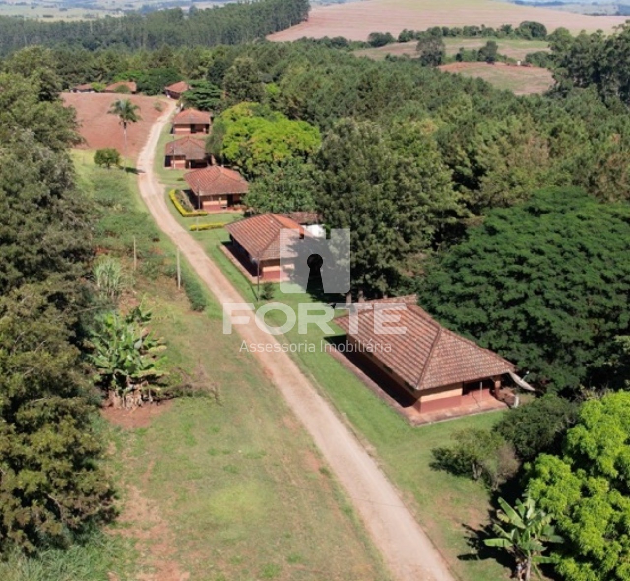 Fazenda à venda com 3 quartos, 1722m² - Foto 6