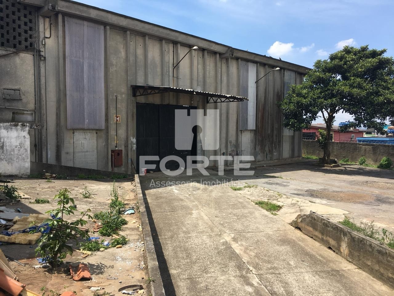 Depósito-Galpão-Armazém à venda e aluguel, 2550m² - Foto 5