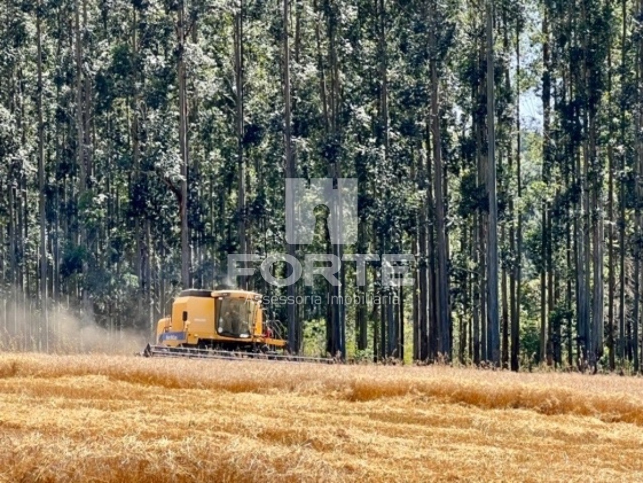 Fazenda à venda com 3 quartos, 1722m² - Foto 8