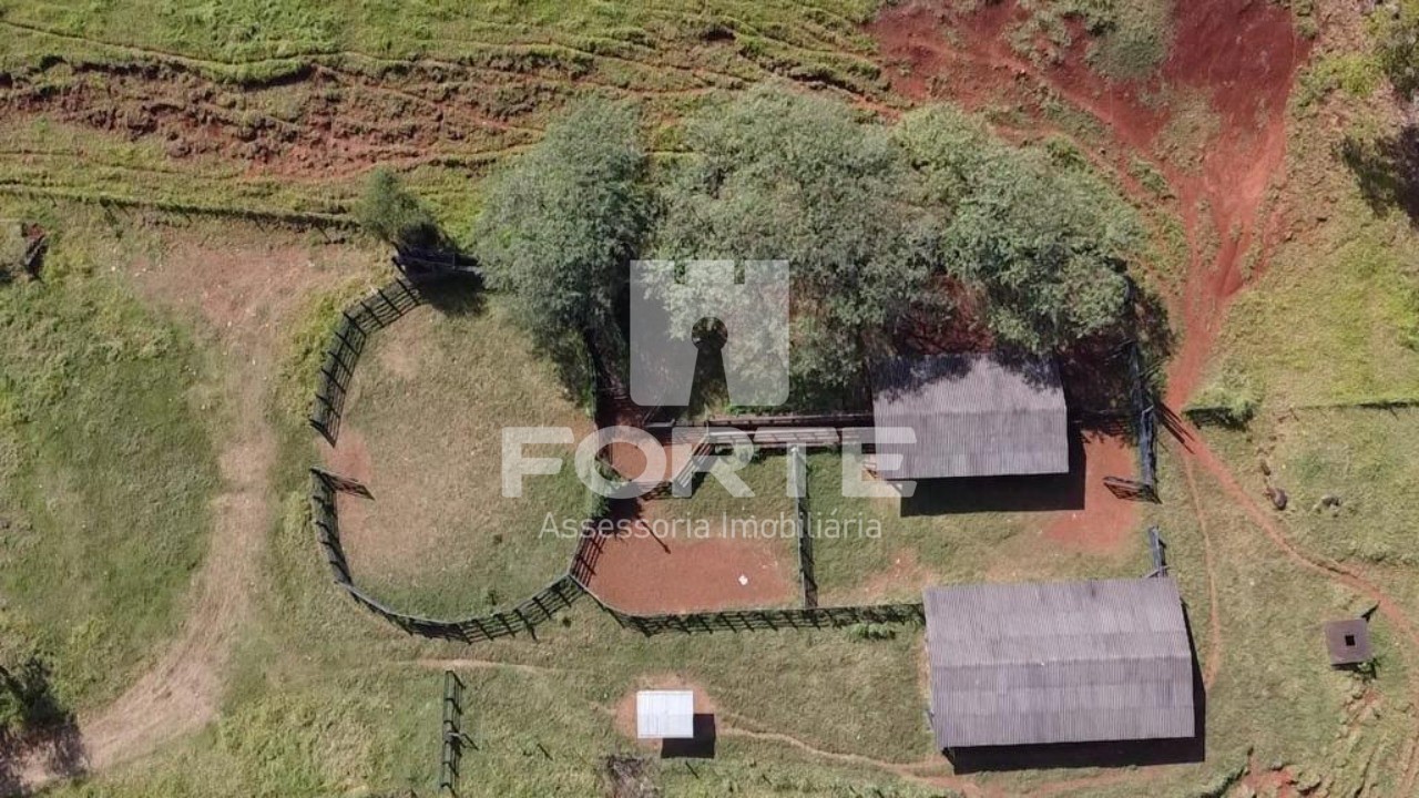 Fazenda à venda com 4 quartos, 84m² - Foto 6